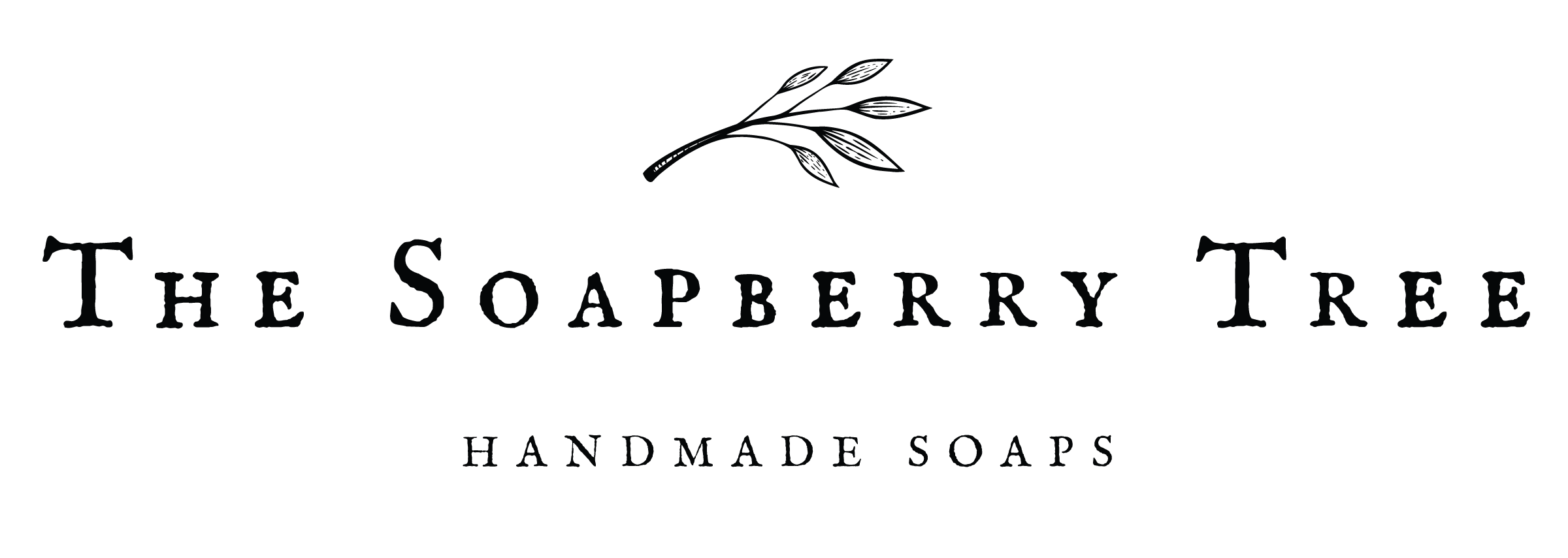 The Soapberry Tree Logo